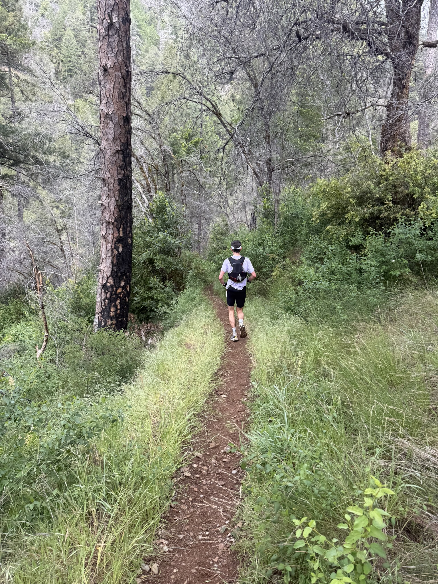 Running with Nick Thompson on the way down after Deadwood #2