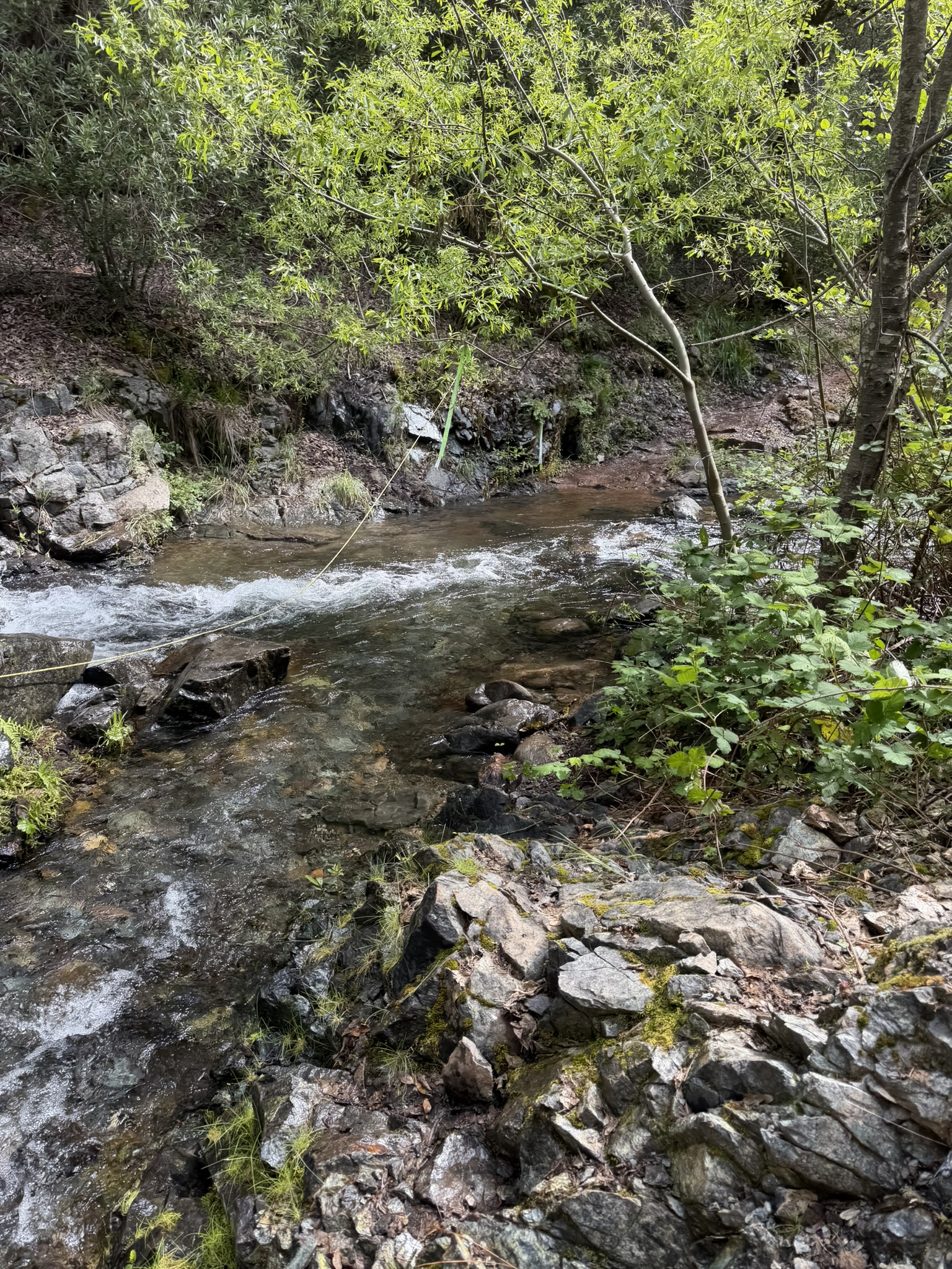 River crossing a few miles out of Foresthill — up to my knees!