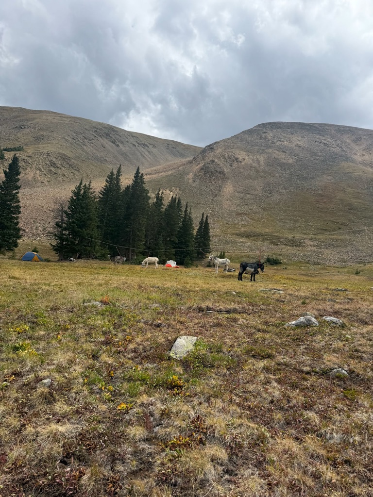 Hopeless aid station